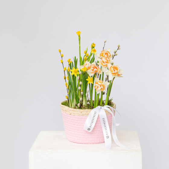 заказать букет Весенняя композиция 16