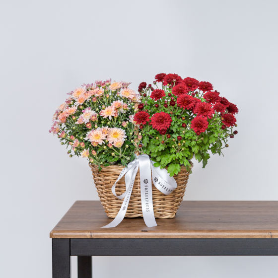 заказать букет Осенняя композиция 4