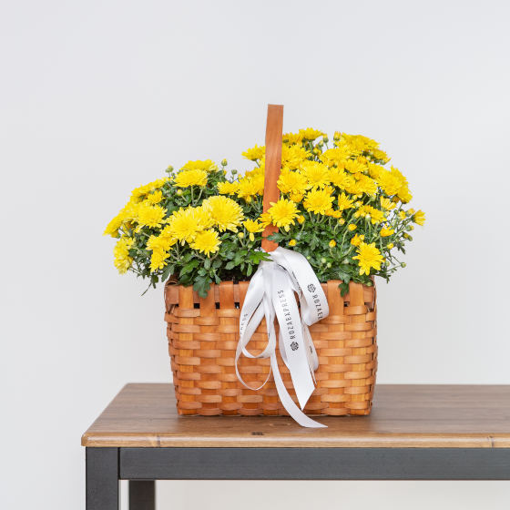 заказать букет Осенняя композиция 5