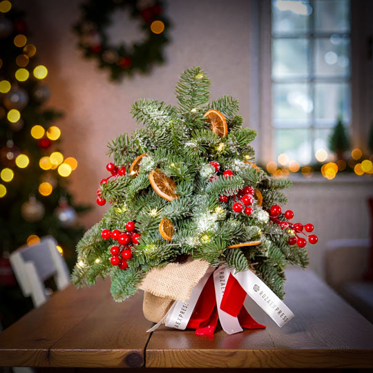 заказать букет Елка 1