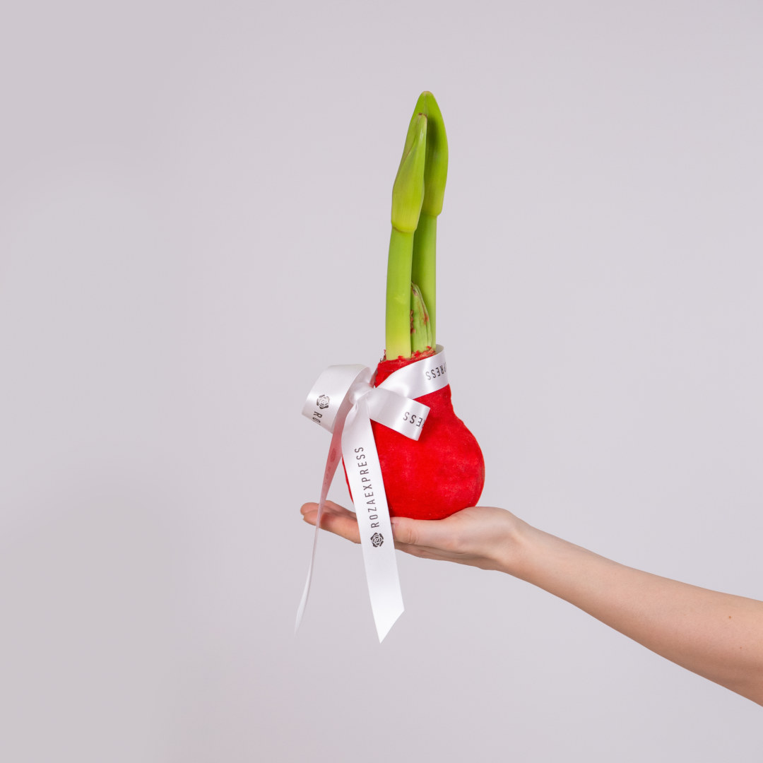 заказать букет Зимняя композиция 13