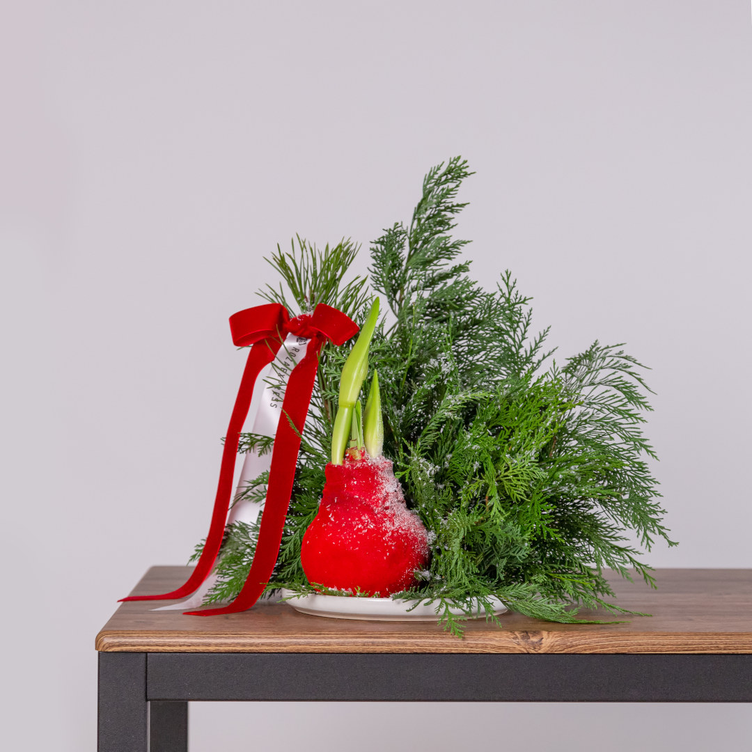 заказать букет Зимняя композиция 14