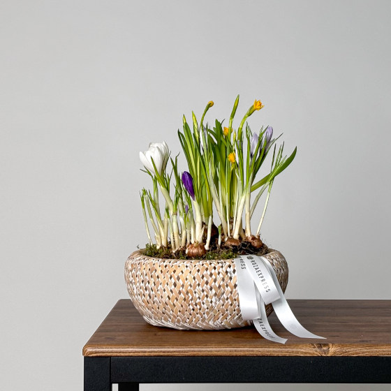 заказать букет Весенняя композиция 41