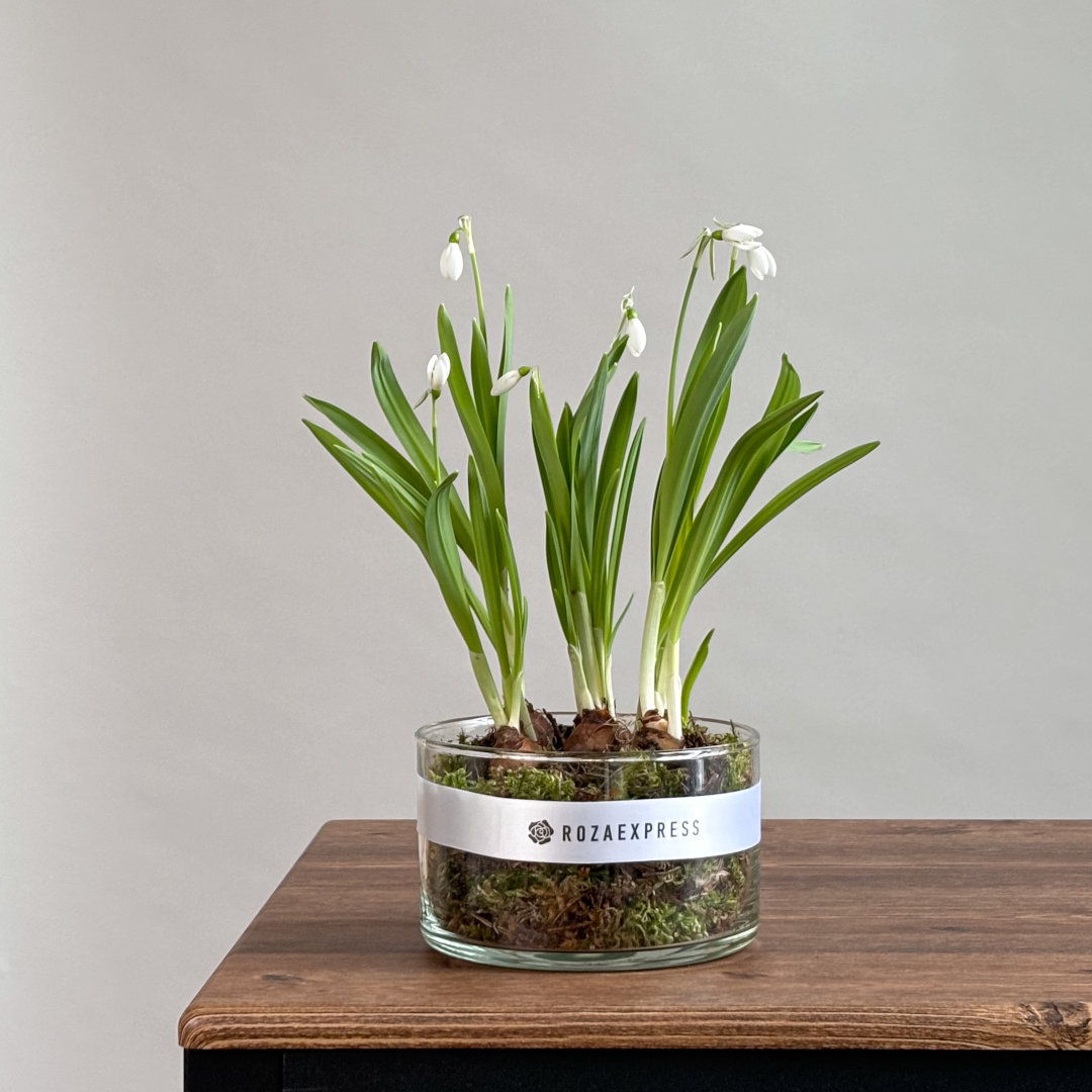 заказать букет Весенняя композиция 42