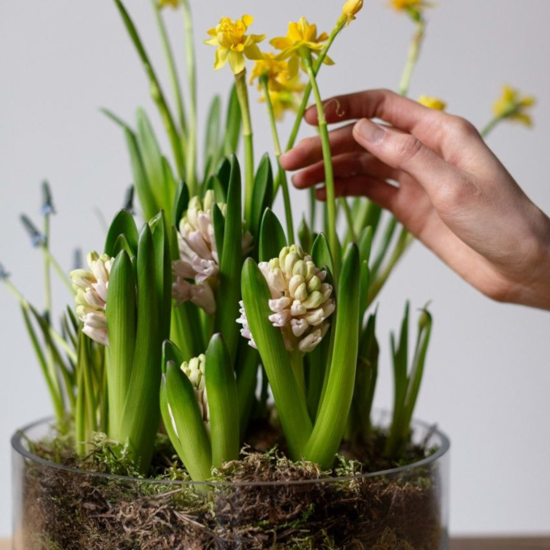 заказать букет Ваза с первоцветами