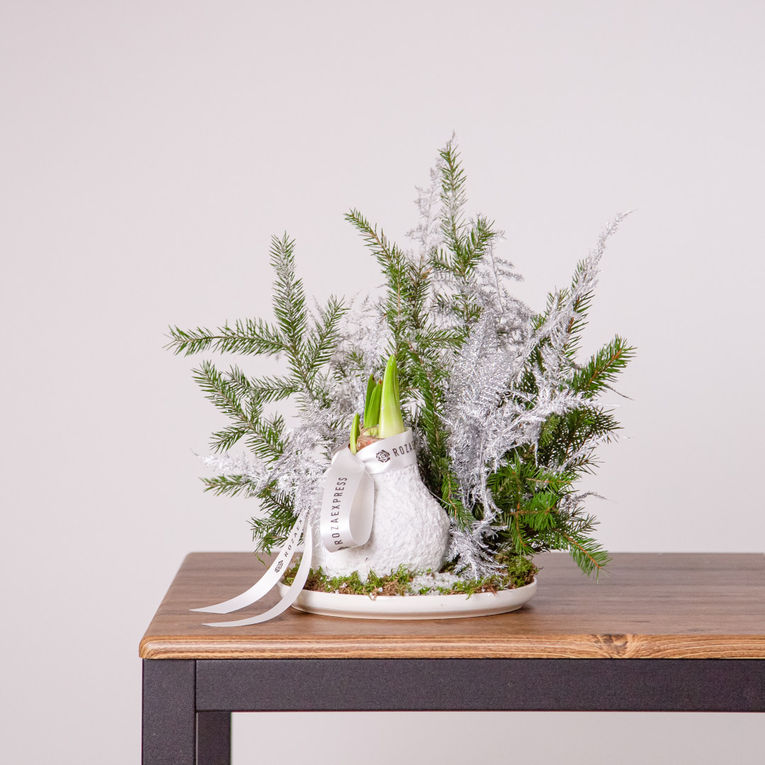 заказать букет Зимняя композиция 8