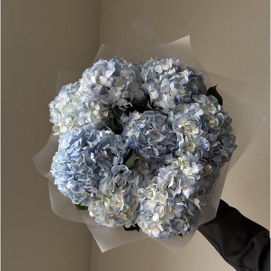 заказать букет Гортензия колумбийская 11шт