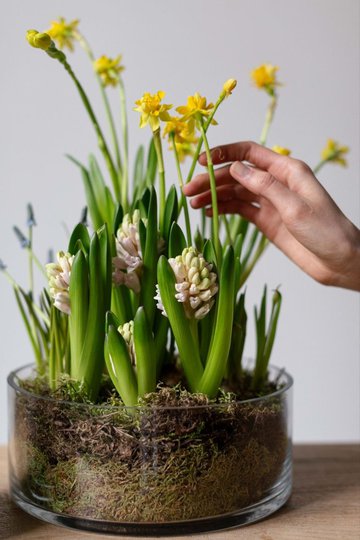 заказать букет Ваза с первоцветами