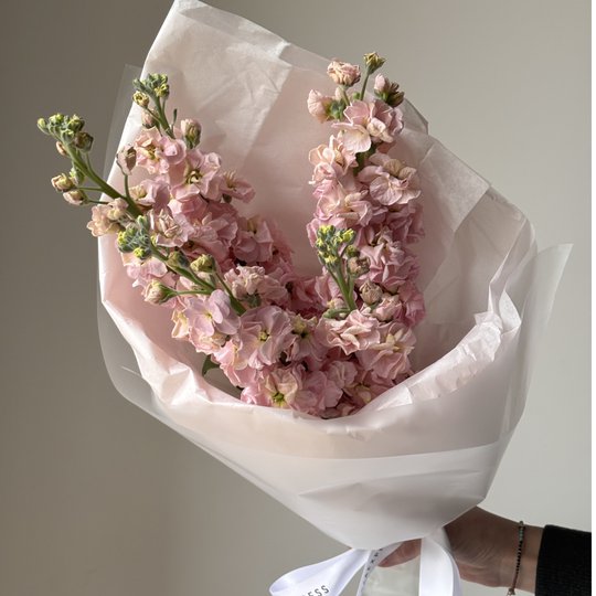 заказать букет Маттиола персиковая 5 шт